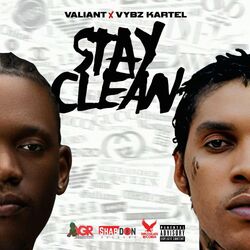 Cover of Stay Clean