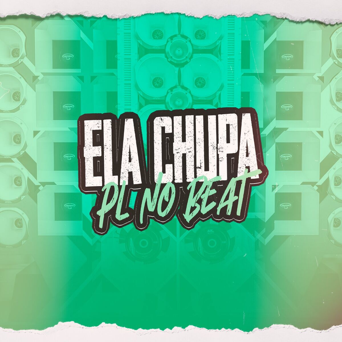 Album cover of Ela Chupa