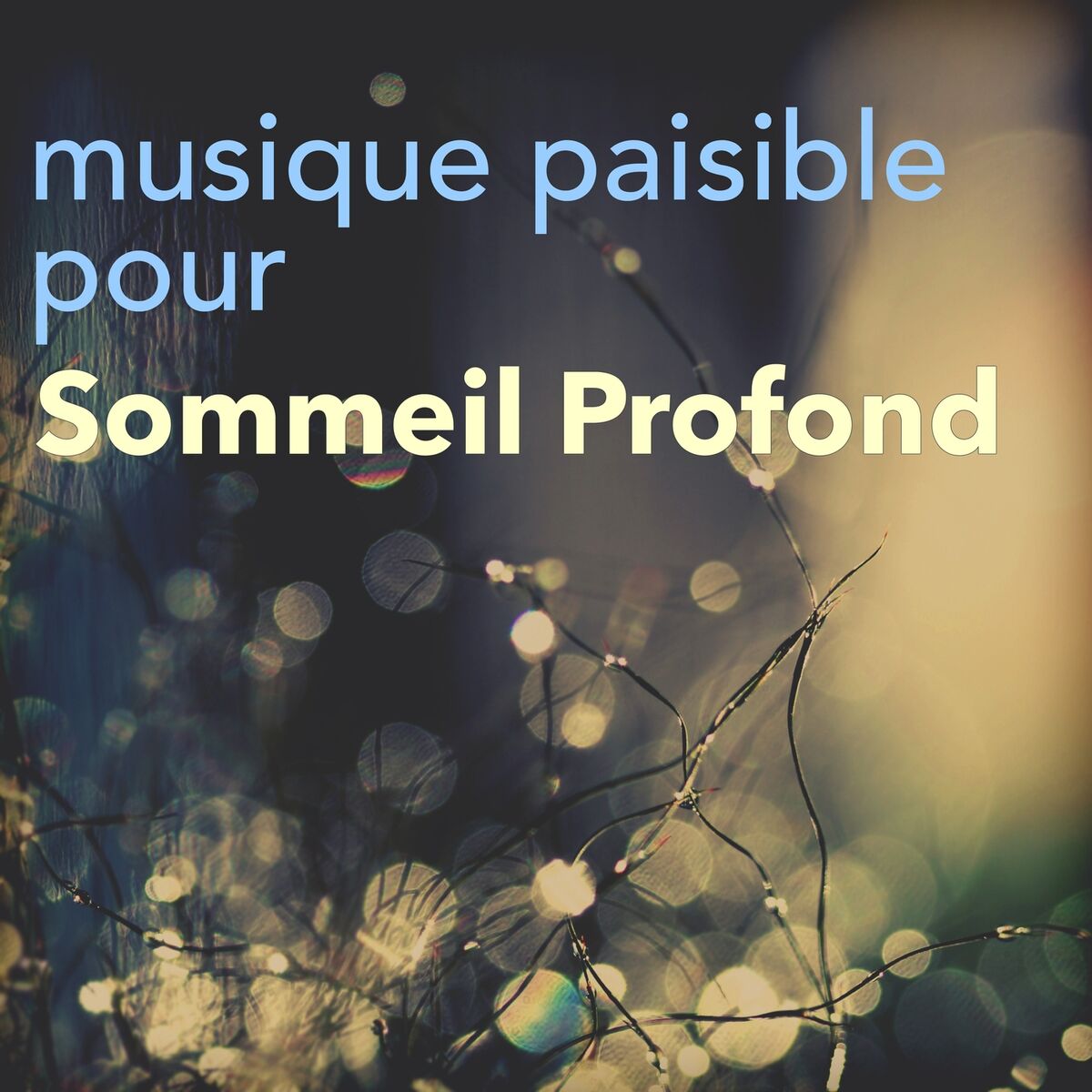 Album cover of Musique Paisible pour Relaxation et Sommeil Profond – Musicothérapie et Sophrologie pour Détente Totale