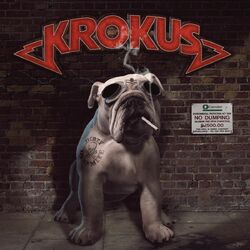 music cover