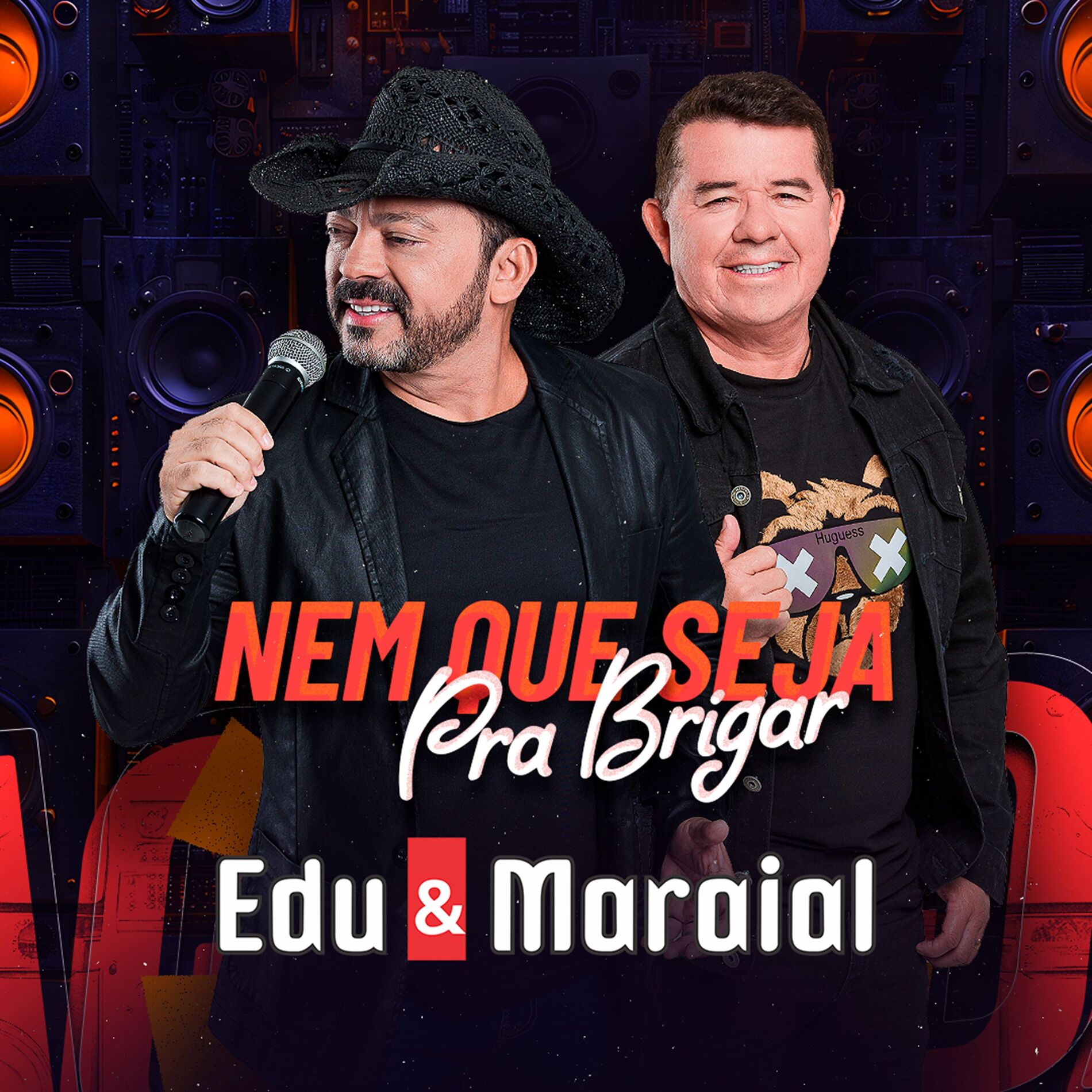 Album cover of Nem Que Seja pra Brigar