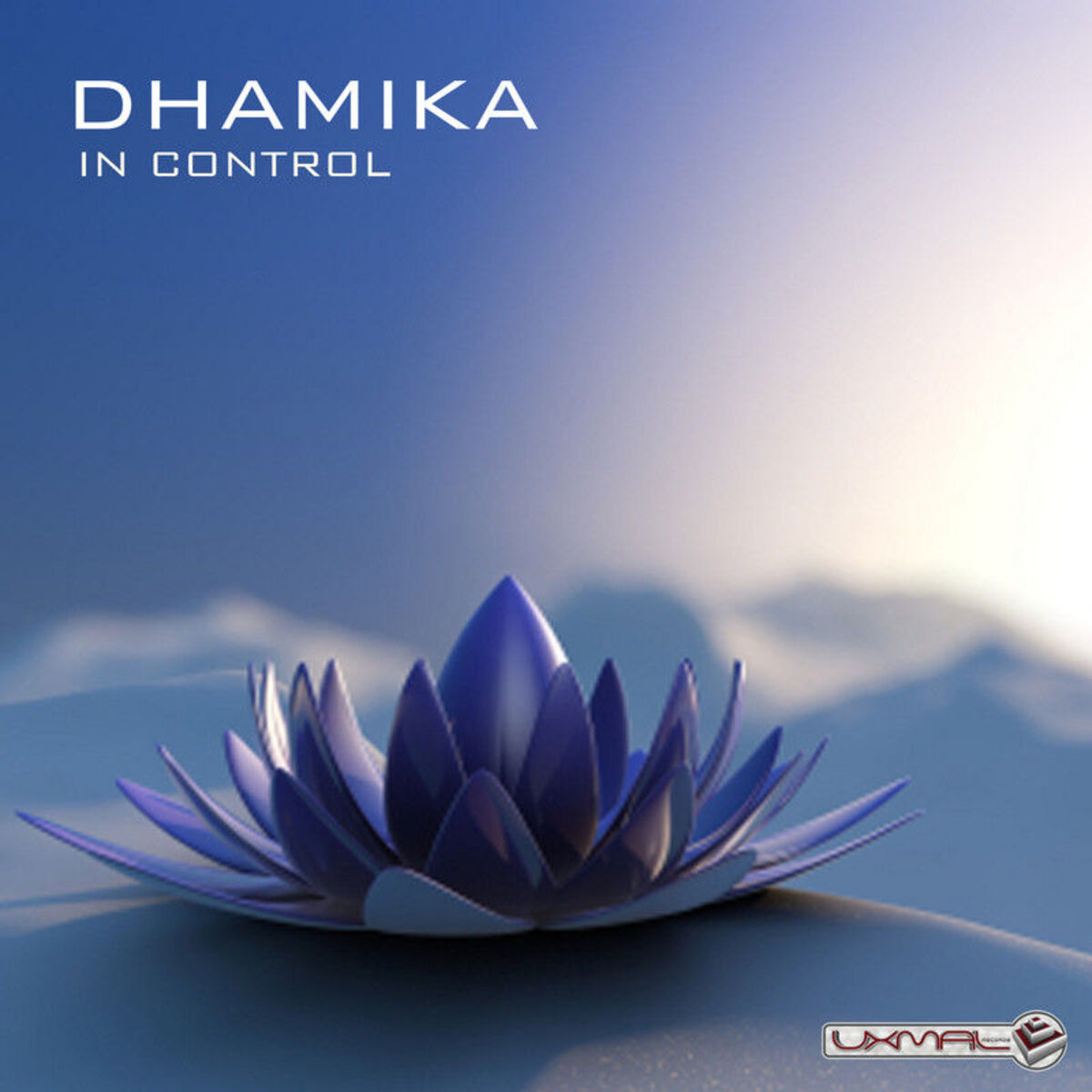 Album cover of In Control