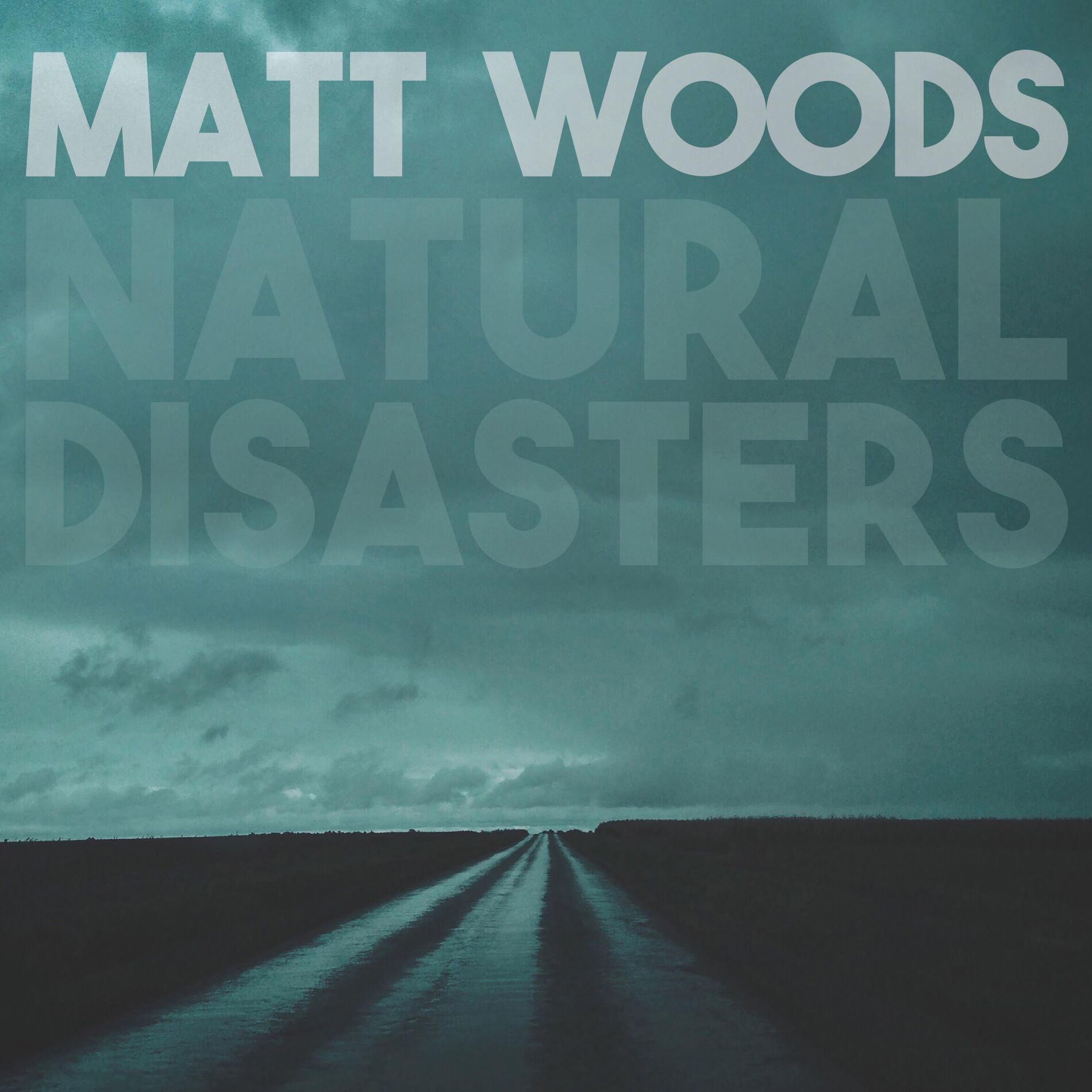 Album cover of Natural Disasters