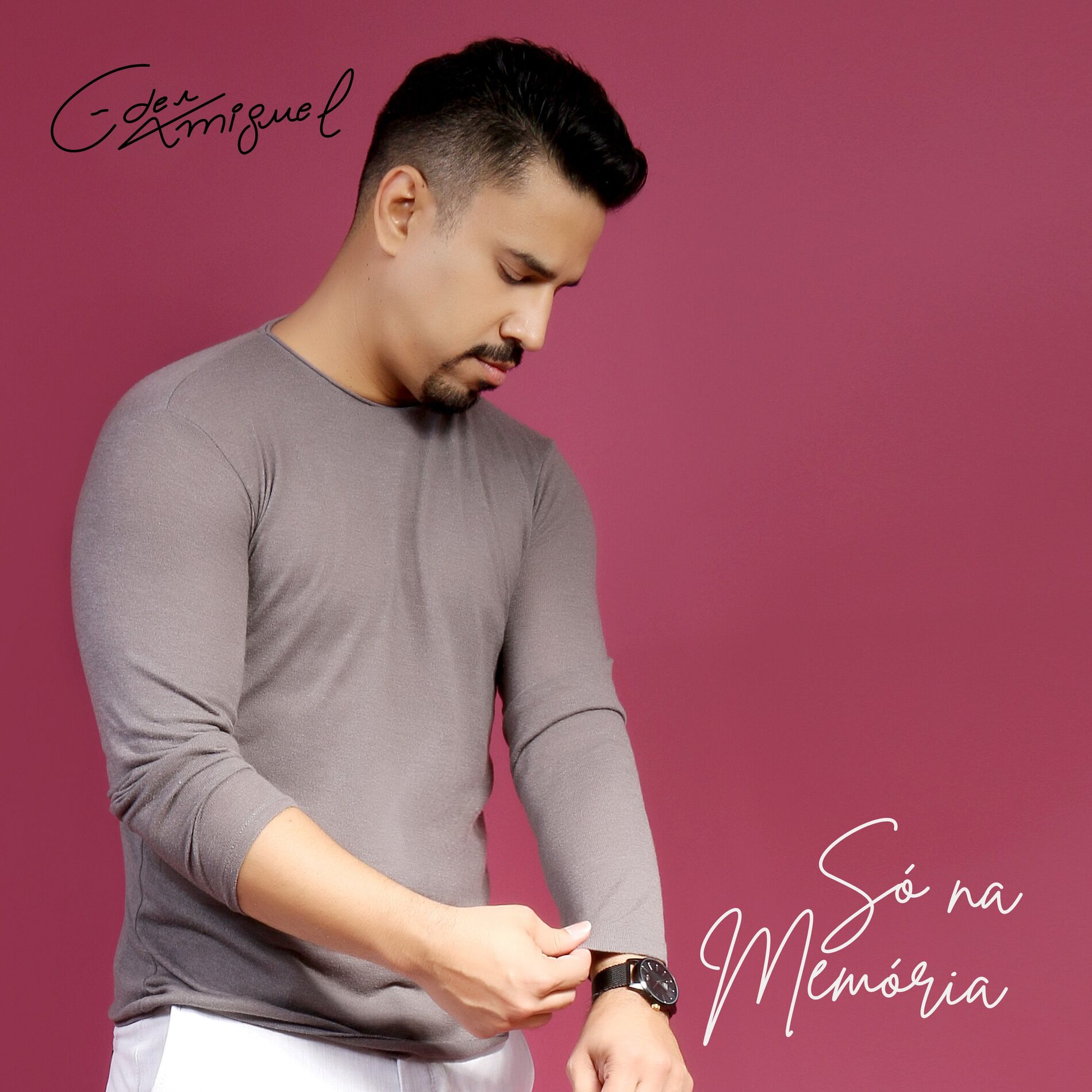 Album cover of Só na Memória