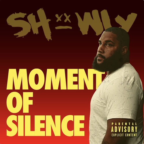 Moment Of Silence - Showly | Deezer
