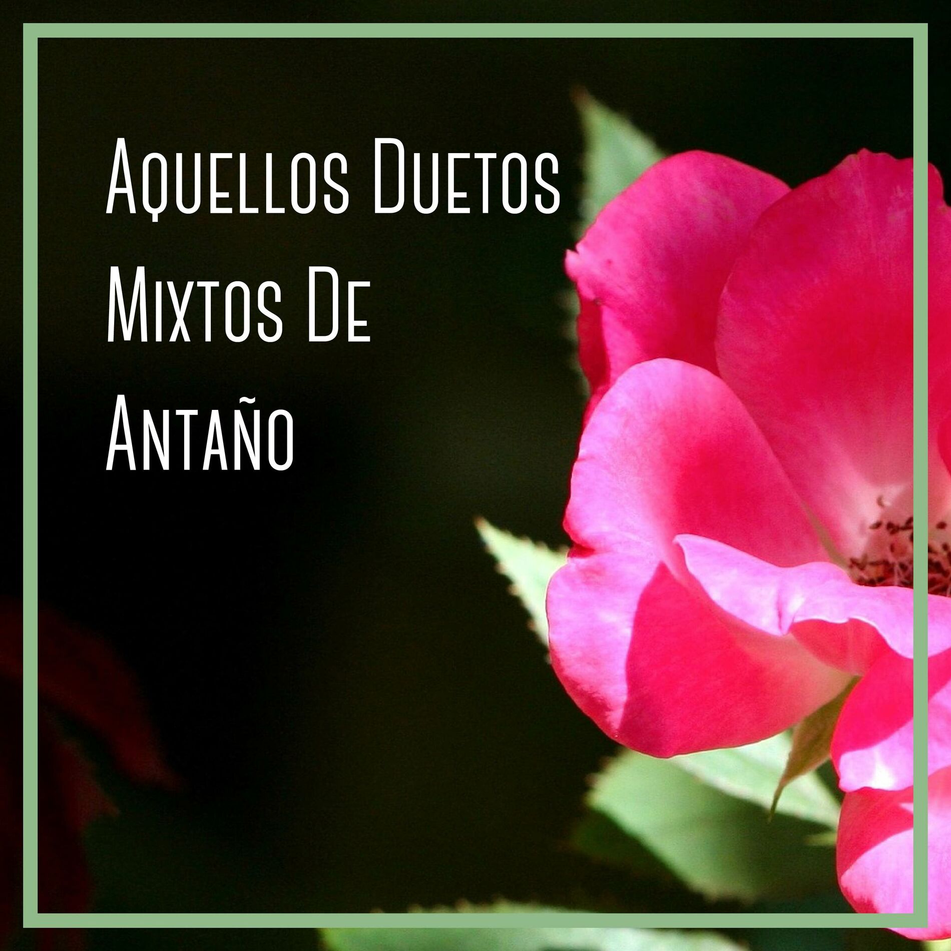 Album cover of Aquellos Duetos Mixtos De Antaño