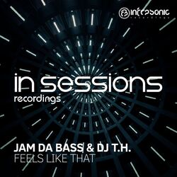 Cover of Feels Like That