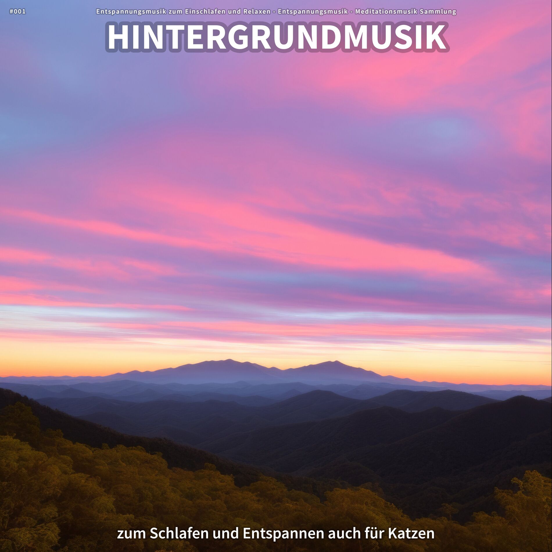 Album cover of #001 Hintergrundmusik zum Schlafen und Entspannen auch für Katzen
