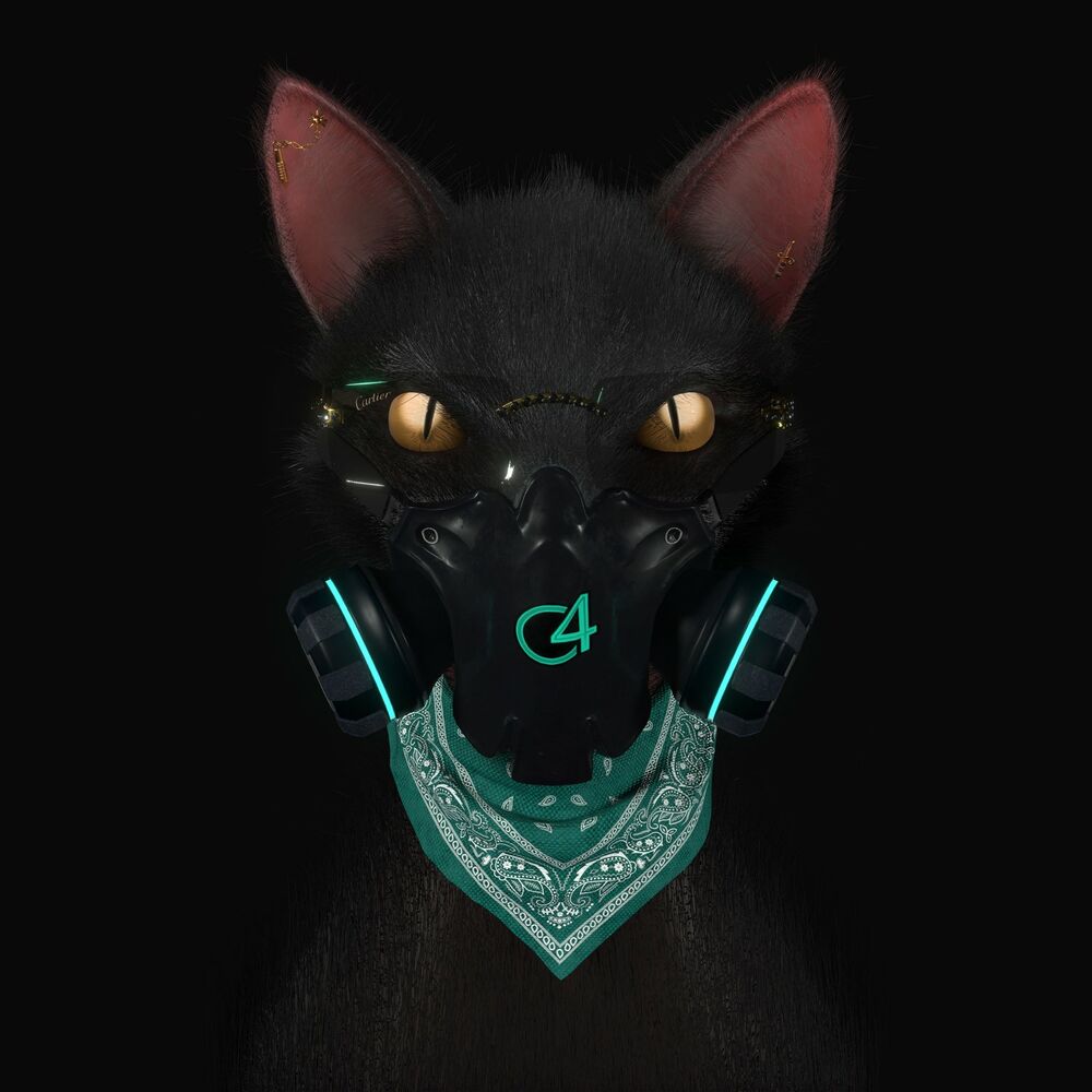 Picture of Gato de Noche