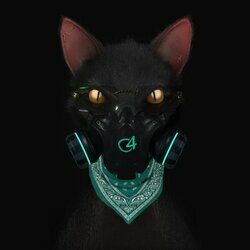Cover of Gato de Noche
