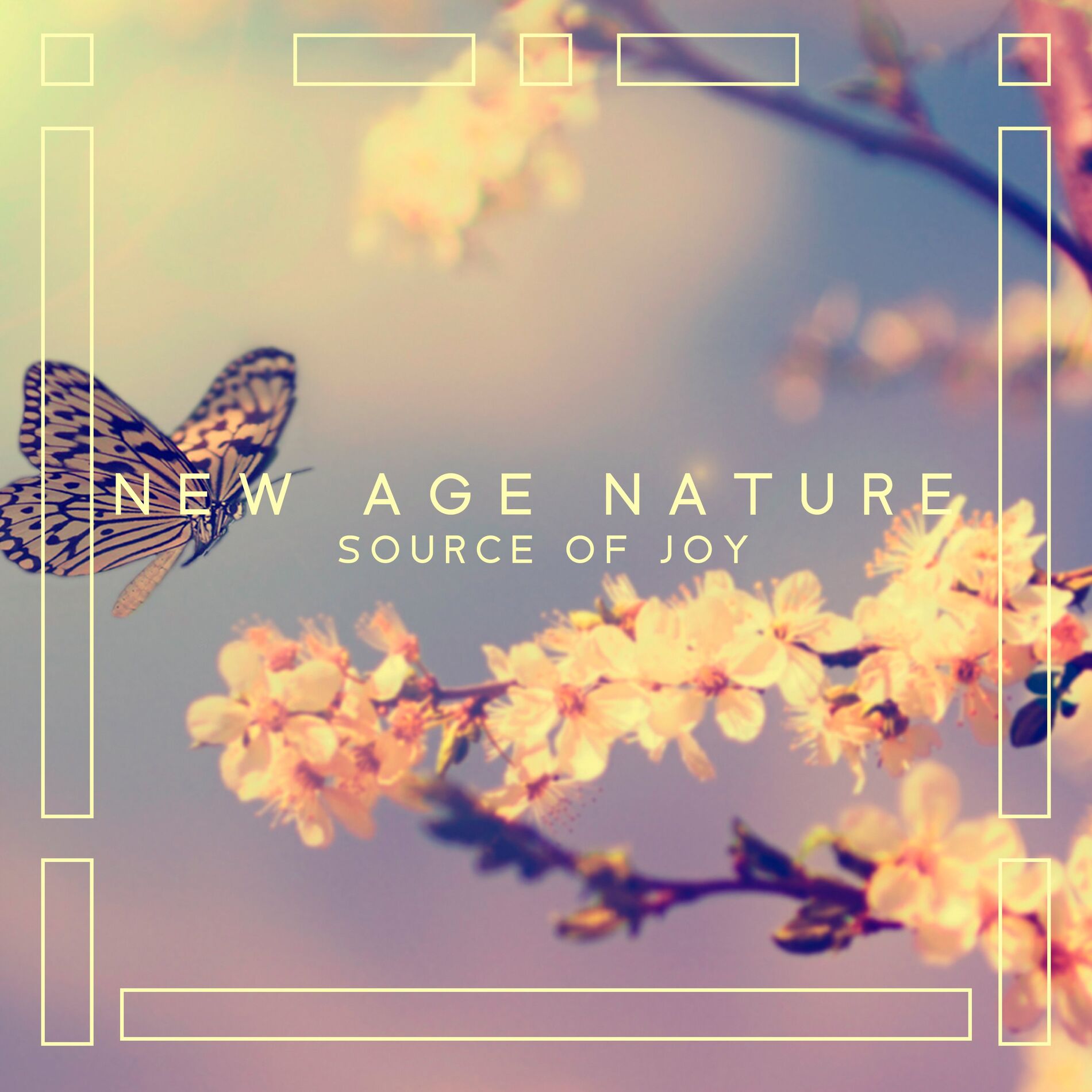 Album cover of New Age Nature: Source of Joy. Delicate Music for Meditation and Everyday Well-Being