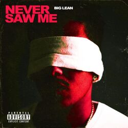 Cover of Never Saw Me