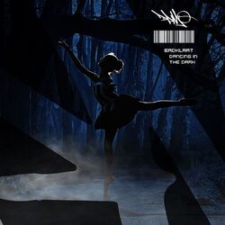 Cover of Dancing in the Dark
