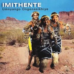 Cover of Umnyango Ongenasikhiye