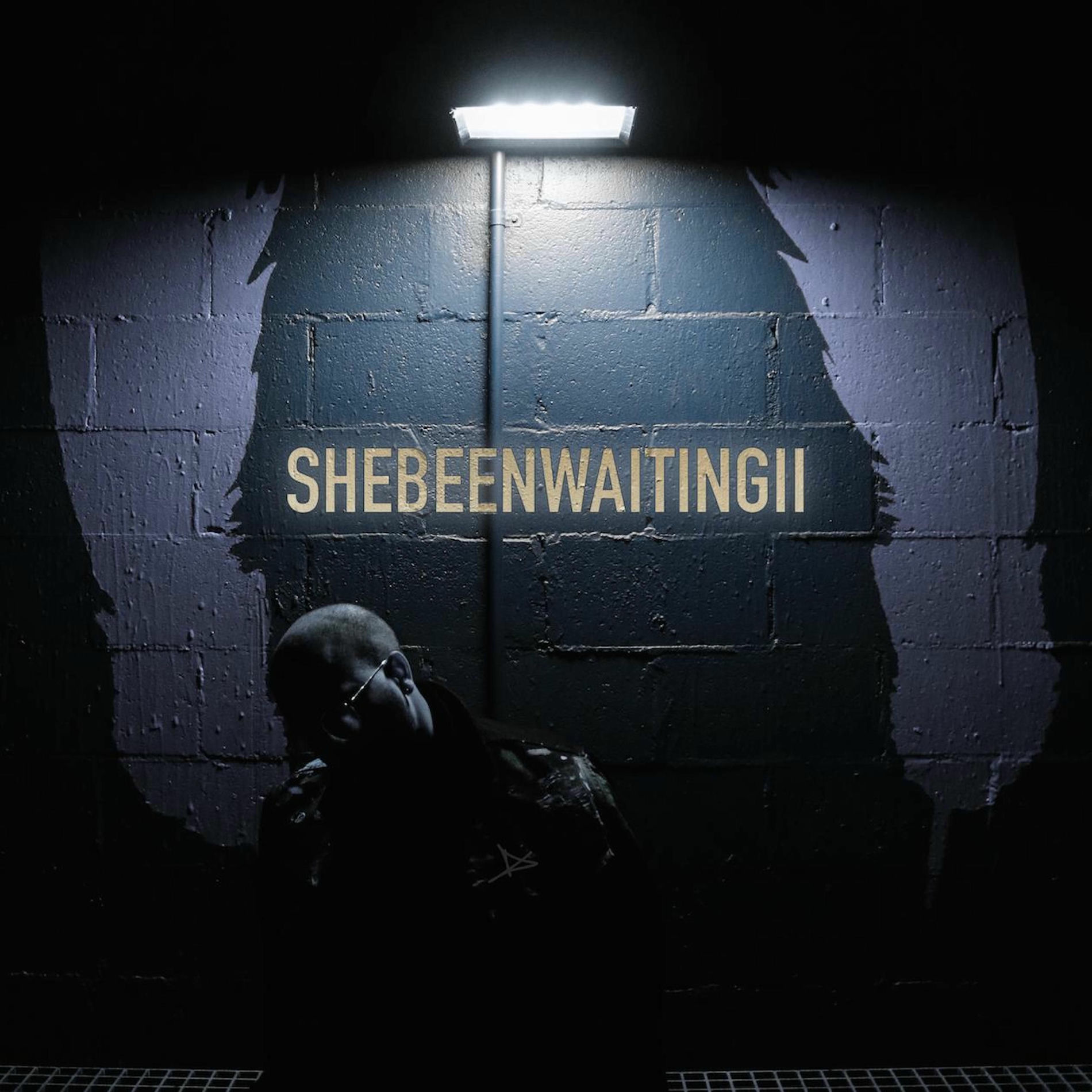 Album cover of She Been Waiting II