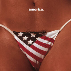 Cover of Amorica.