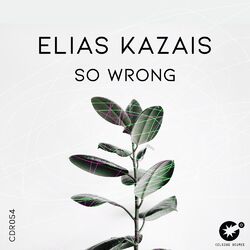 Cover of So Wrong