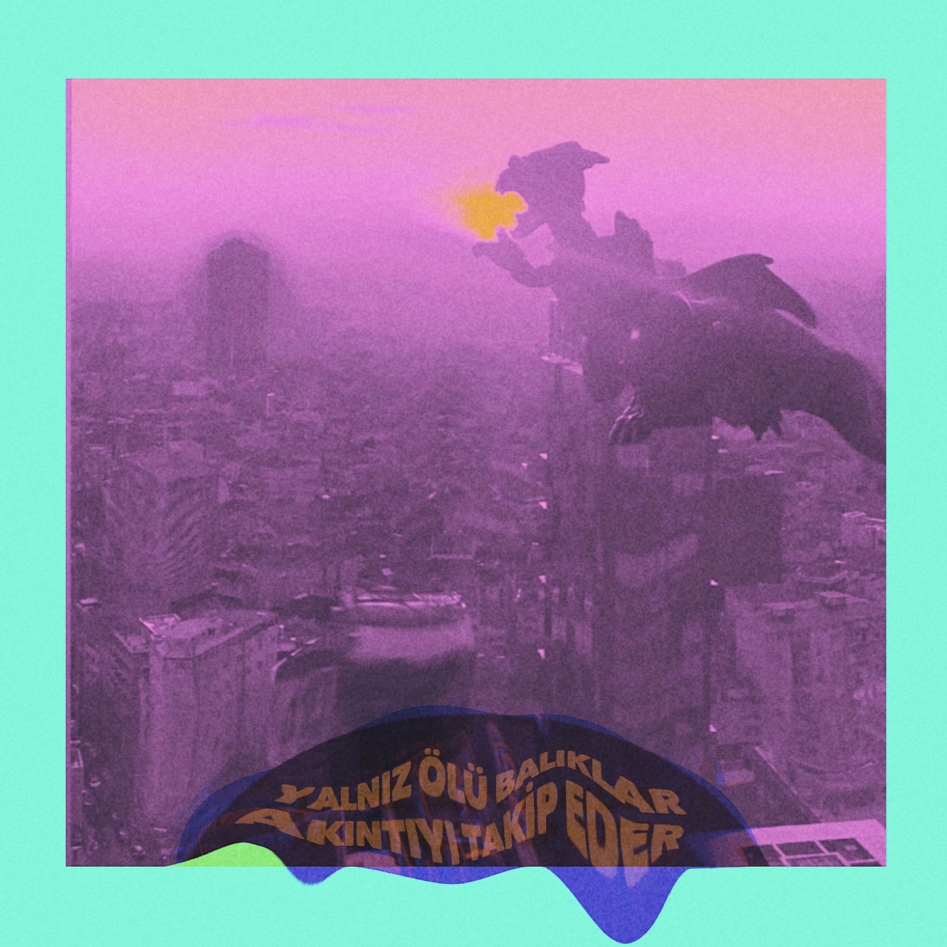 Album cover of Yalnız Ölü Balıklar Akıntıyı Takip Eder