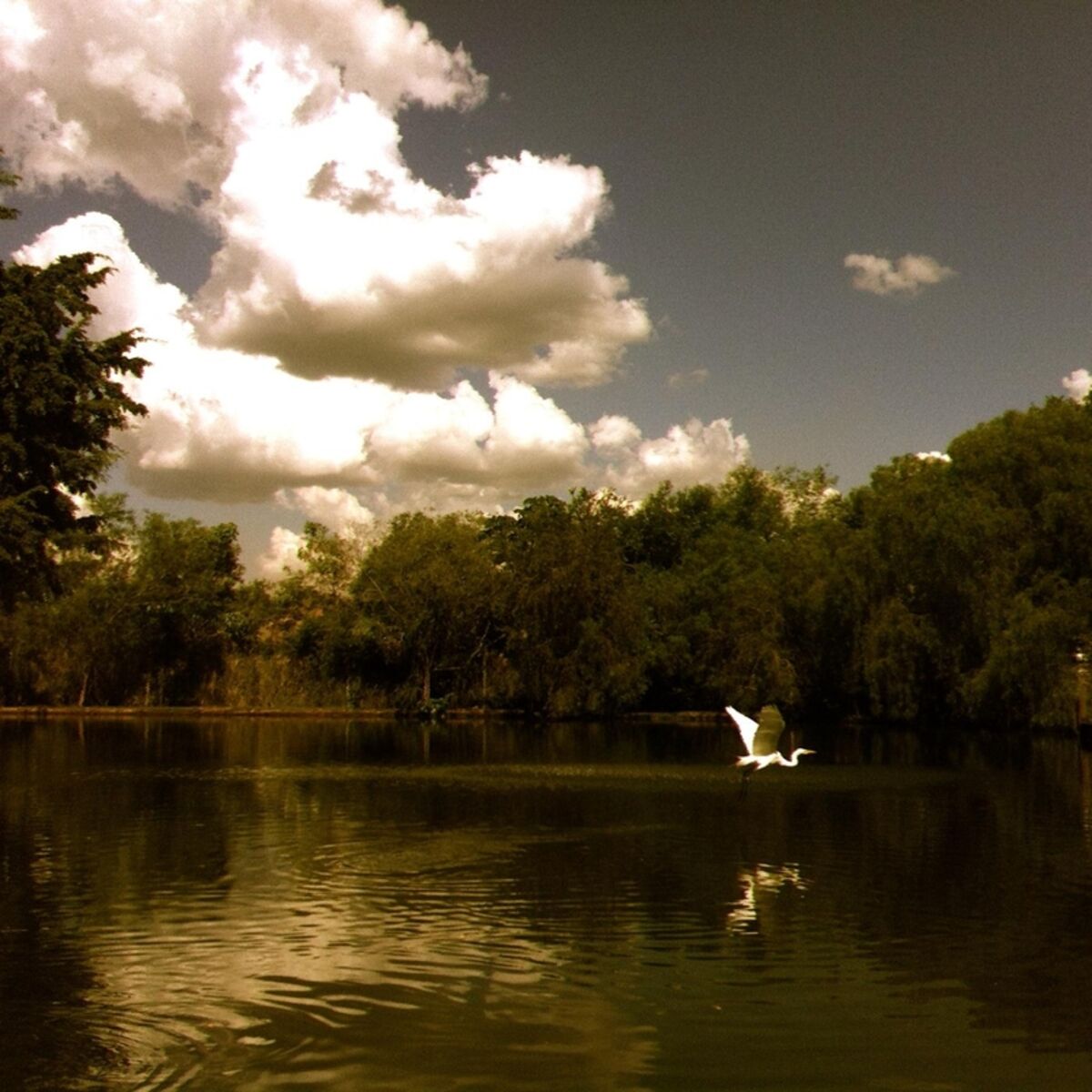 Album cover of Os Meus Braços São os Mesmos