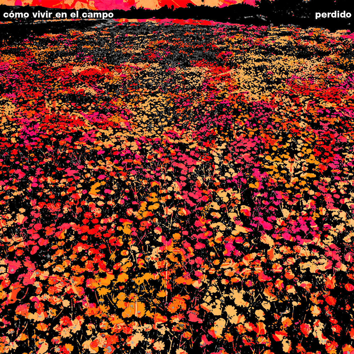 Album cover of Perdido - EP
