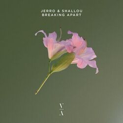 Cover of Breaking Apart