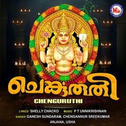 Cover of Chenguruthi by undefined