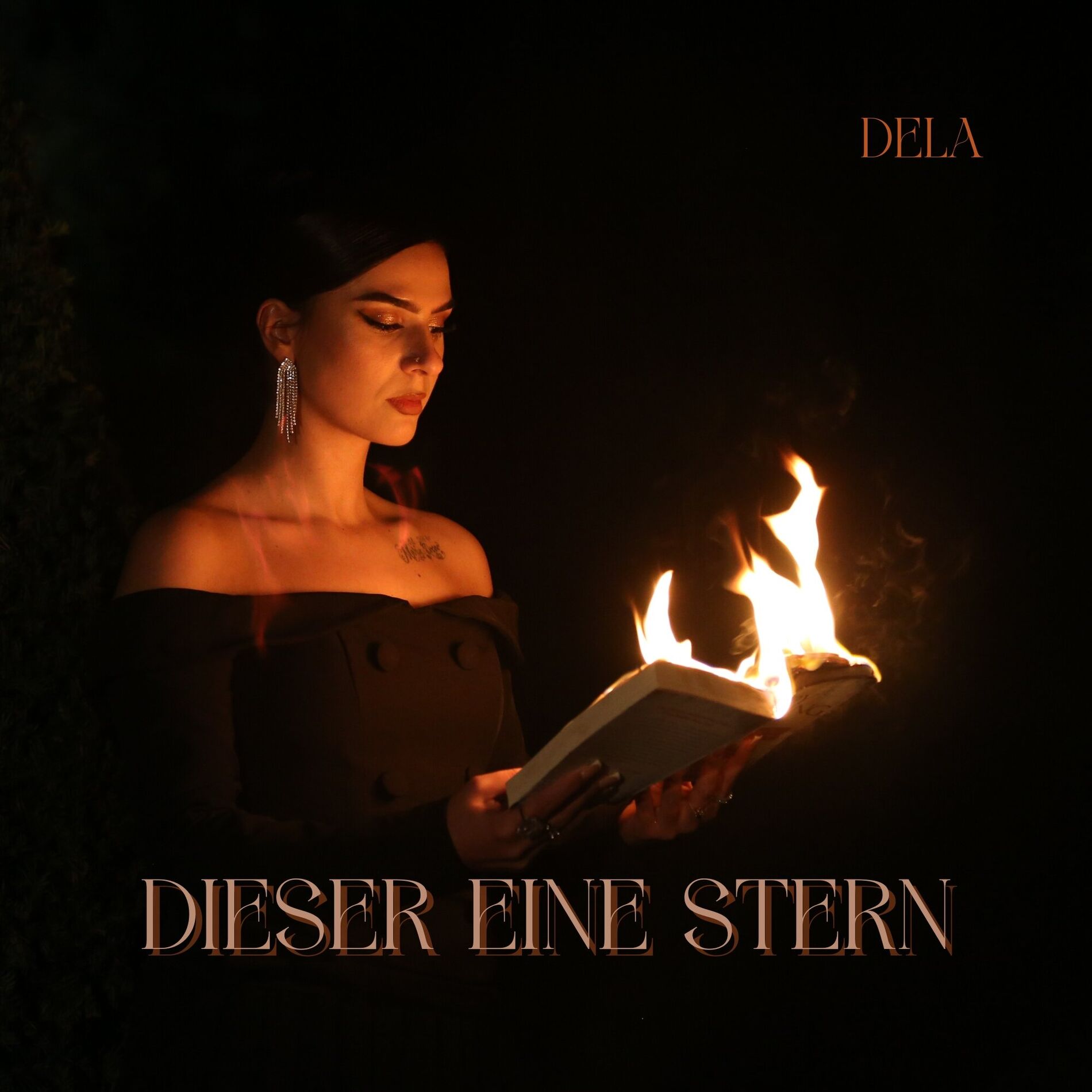 Album cover of Dieser eine Stern