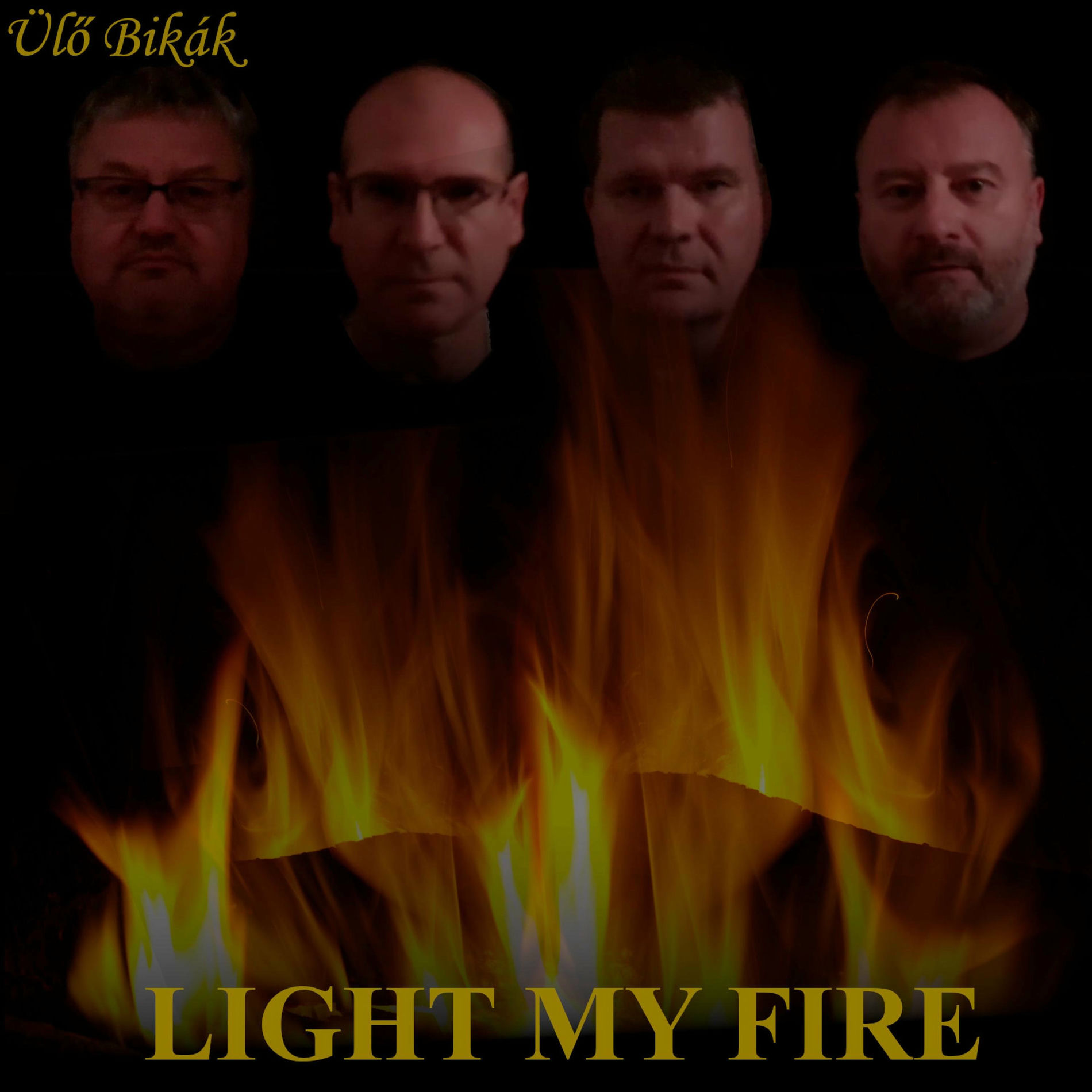 Album cover of Light My Fire