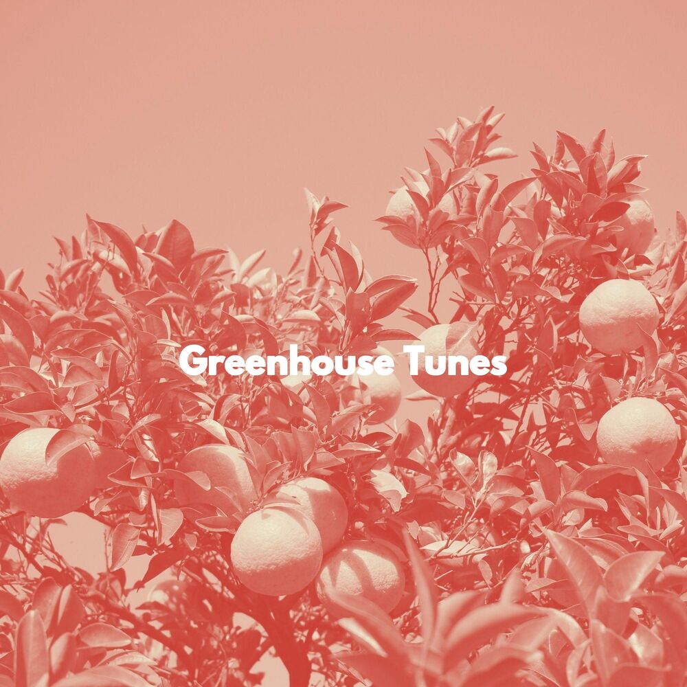 Picture of Greenhouse Tunes