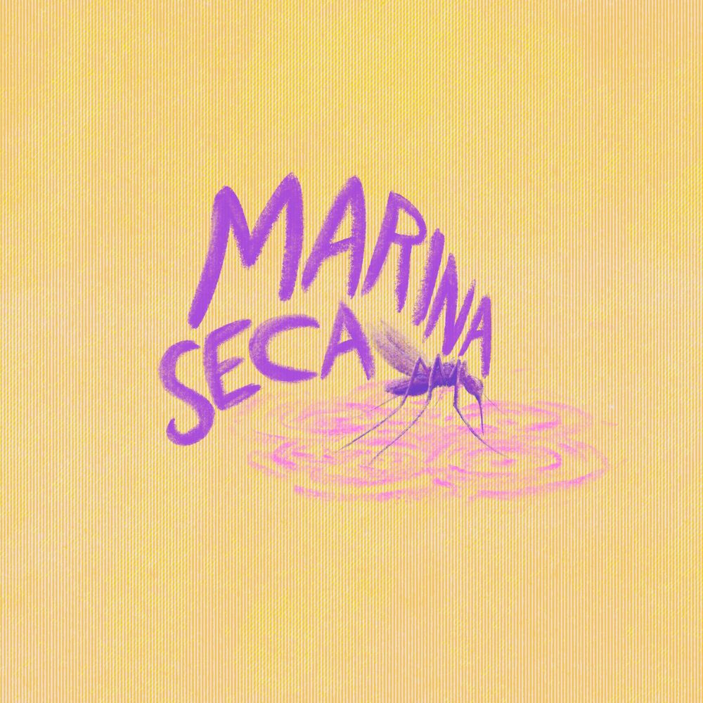 Picture of Marina Seca
