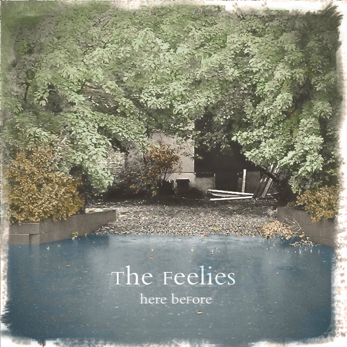 Album cover of Morning Comes