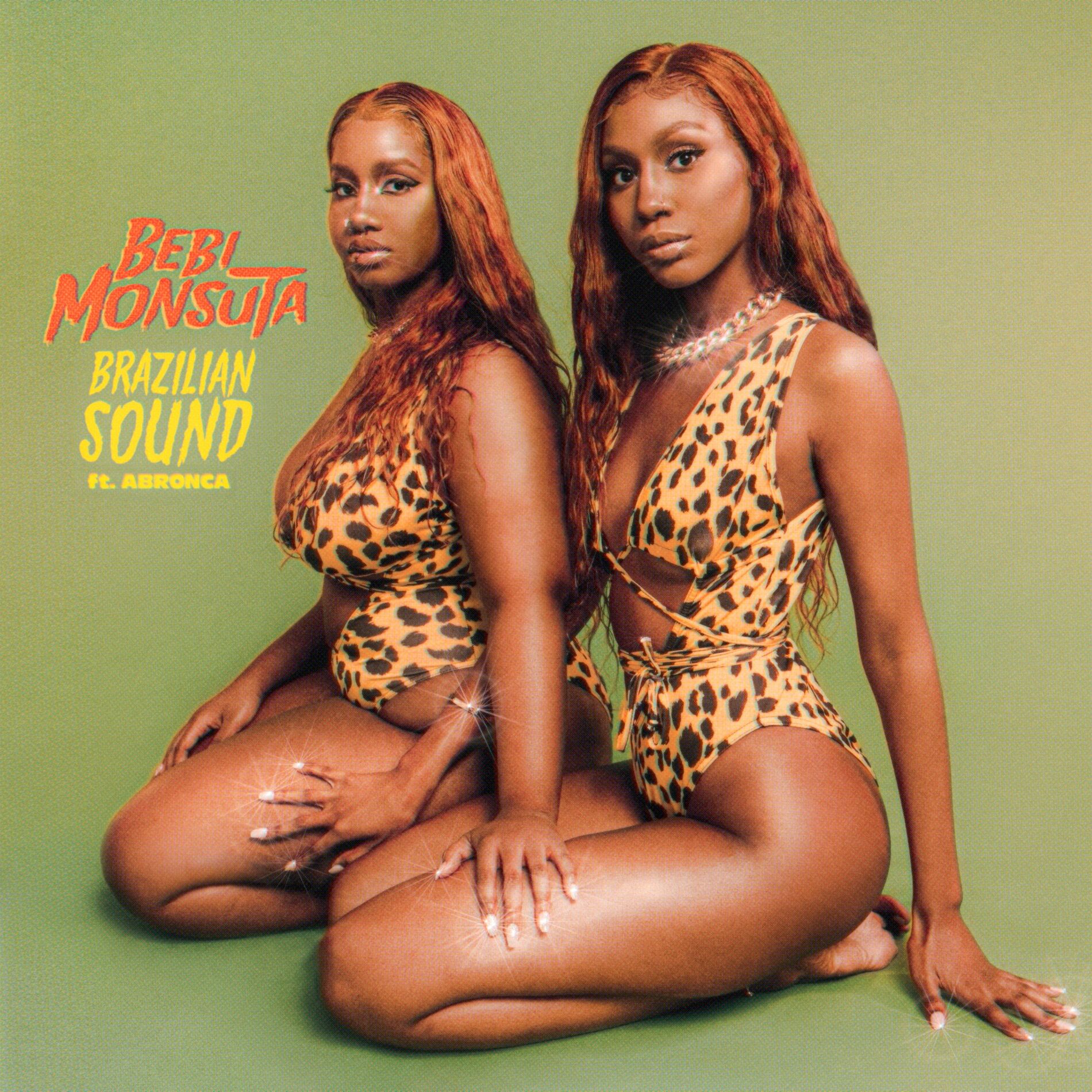 Album cover of Brazilian Sound