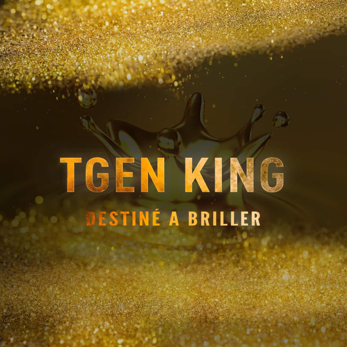 Album cover of Destiné à Briller