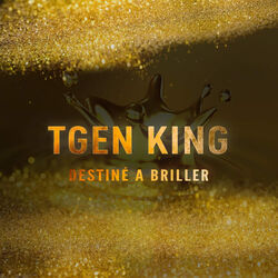 Cover of Destiné à Briller