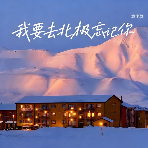 我要去北极忘记你