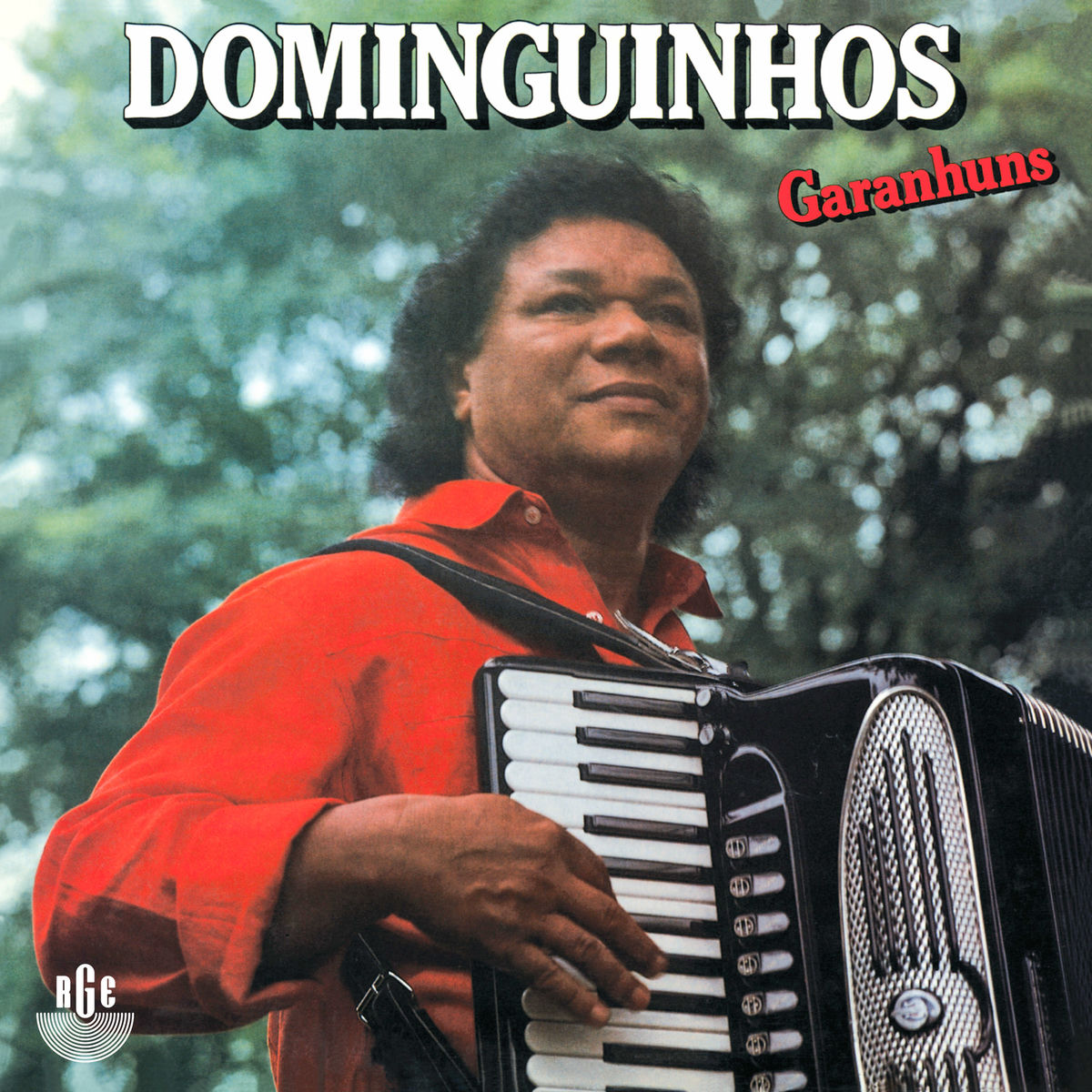 Album cover of Balança Sanfoneiro