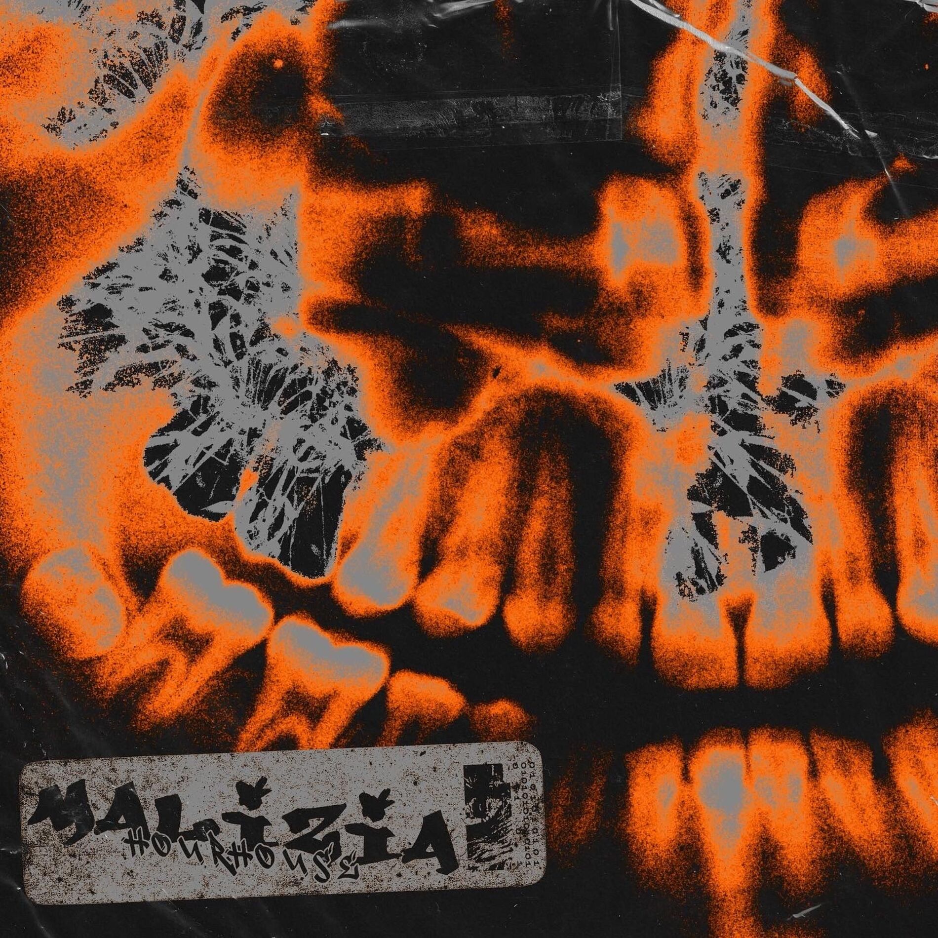 Album cover of MALIZIA