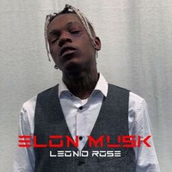 Cover of Elon Musk