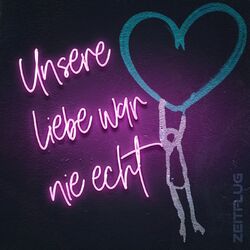 Cover of Unsere Liebe war nie echt