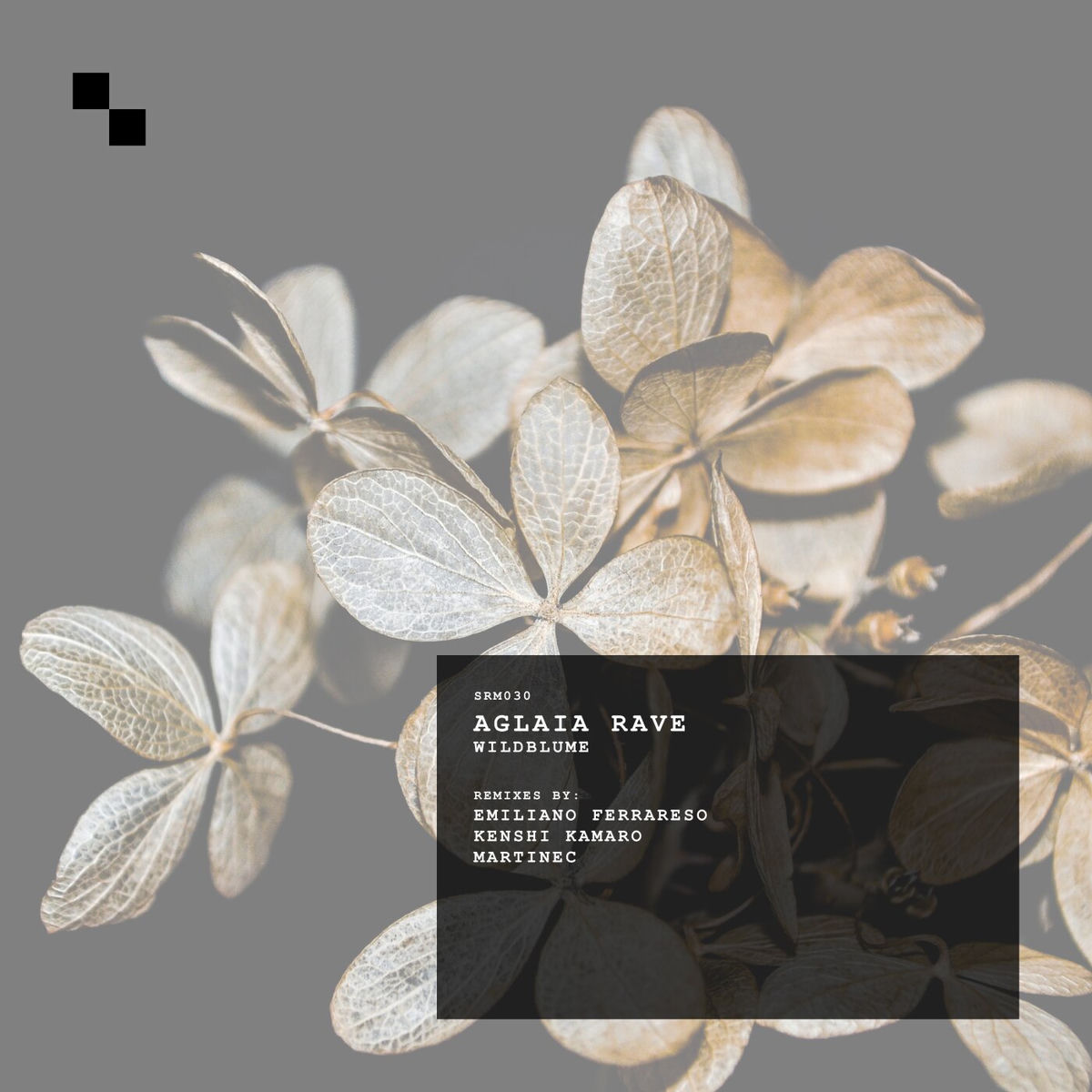 Album cover of Wildblume