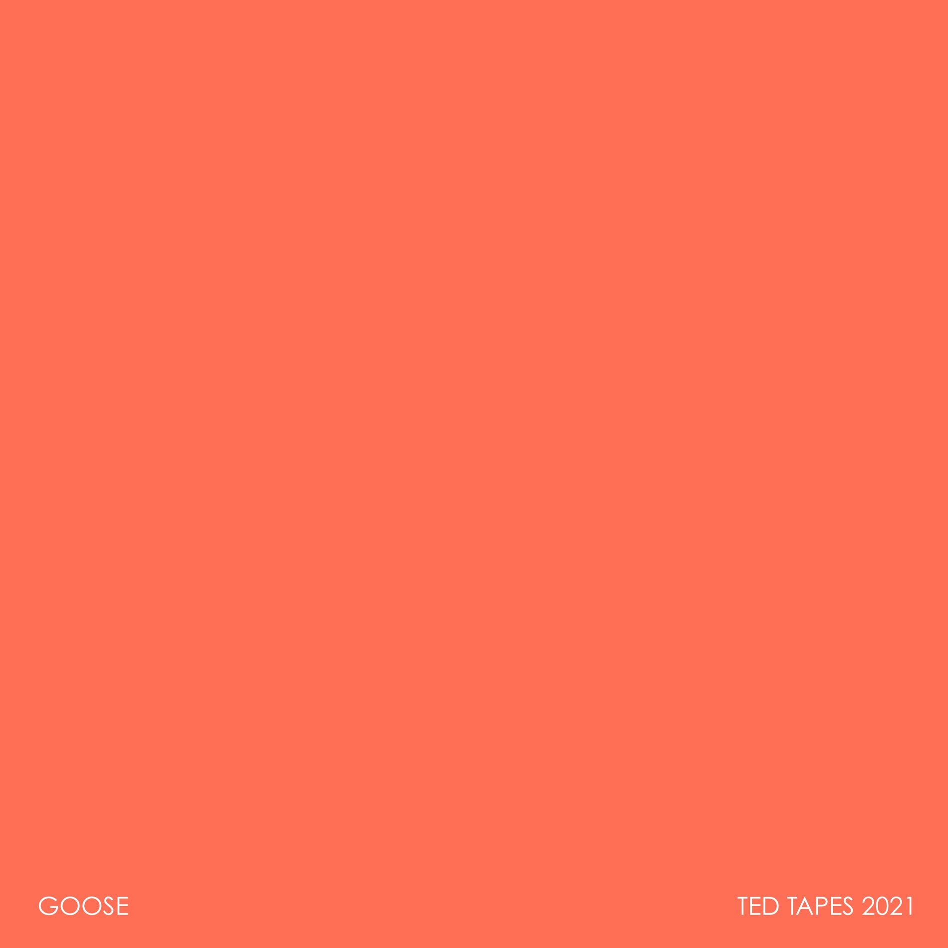 Album cover of Ted Tapes 2021