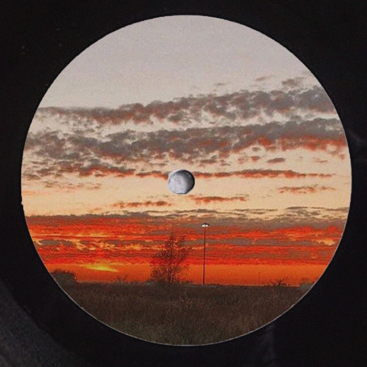 Album cover of Crepuscolo n215