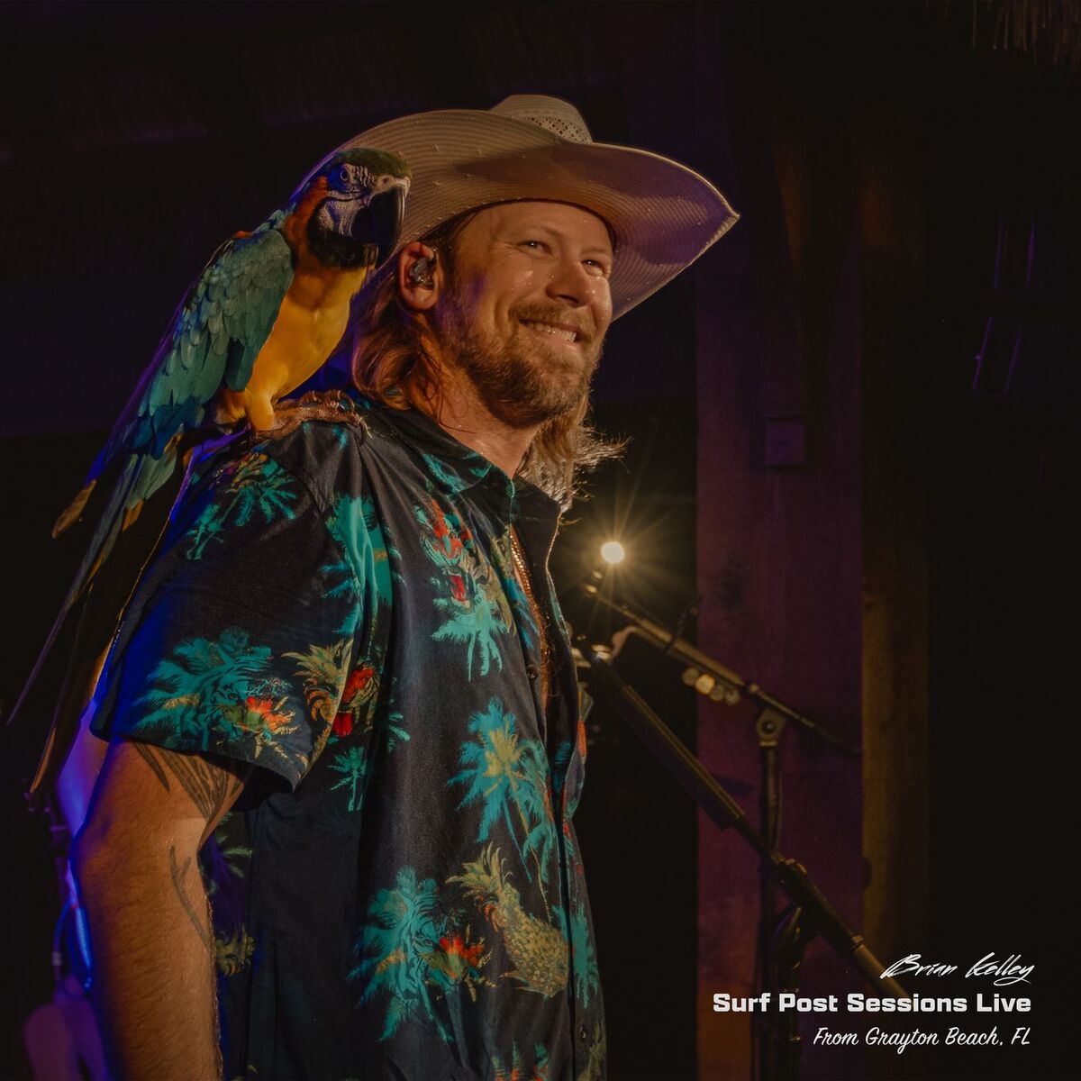 Album cover of Surf Post Sessions Live