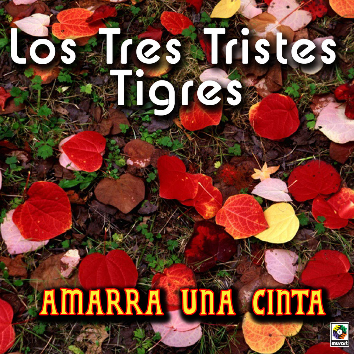Album cover of Sere Tu Amigo