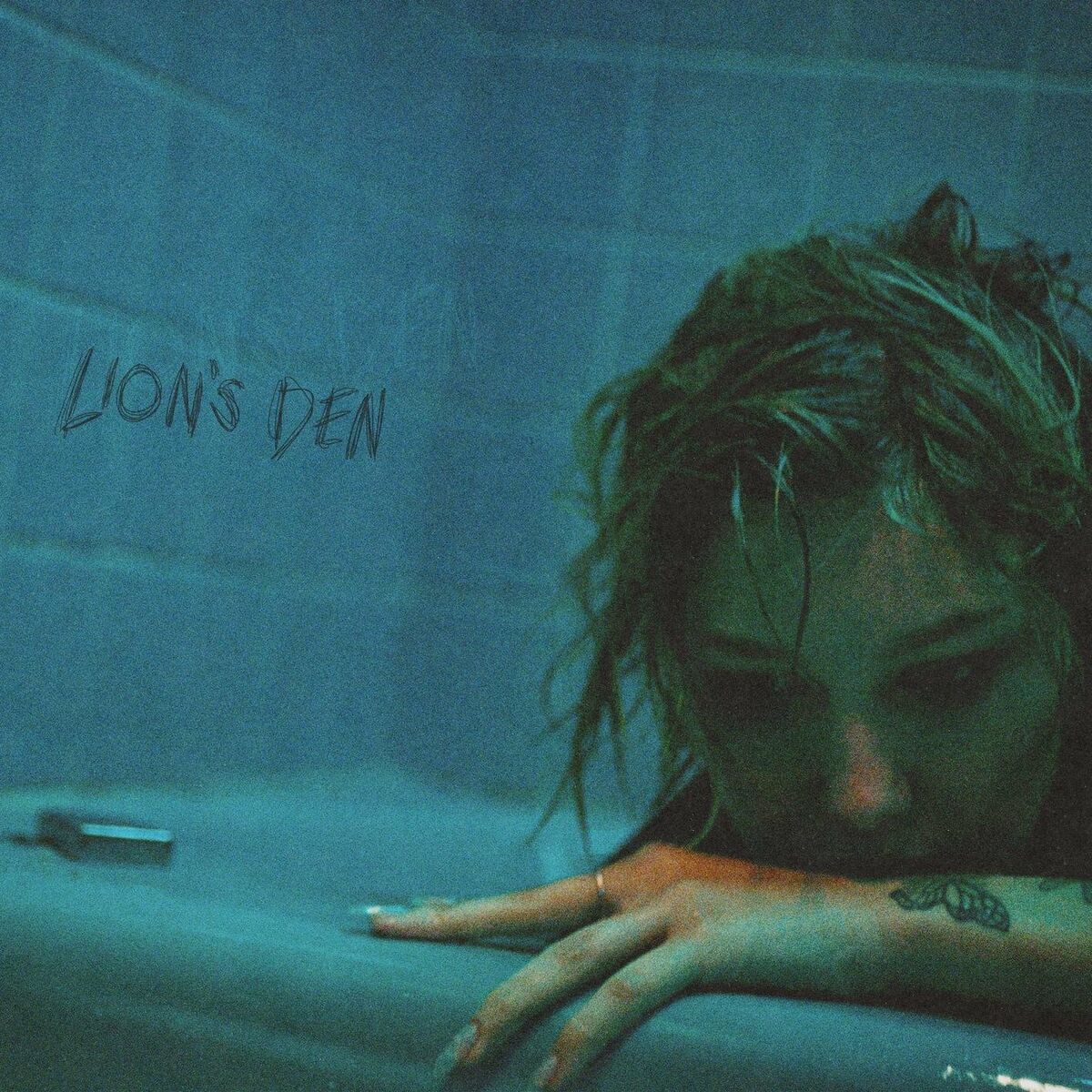 Album cover of Lion's Den