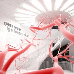 Cover of Lights from the Inside