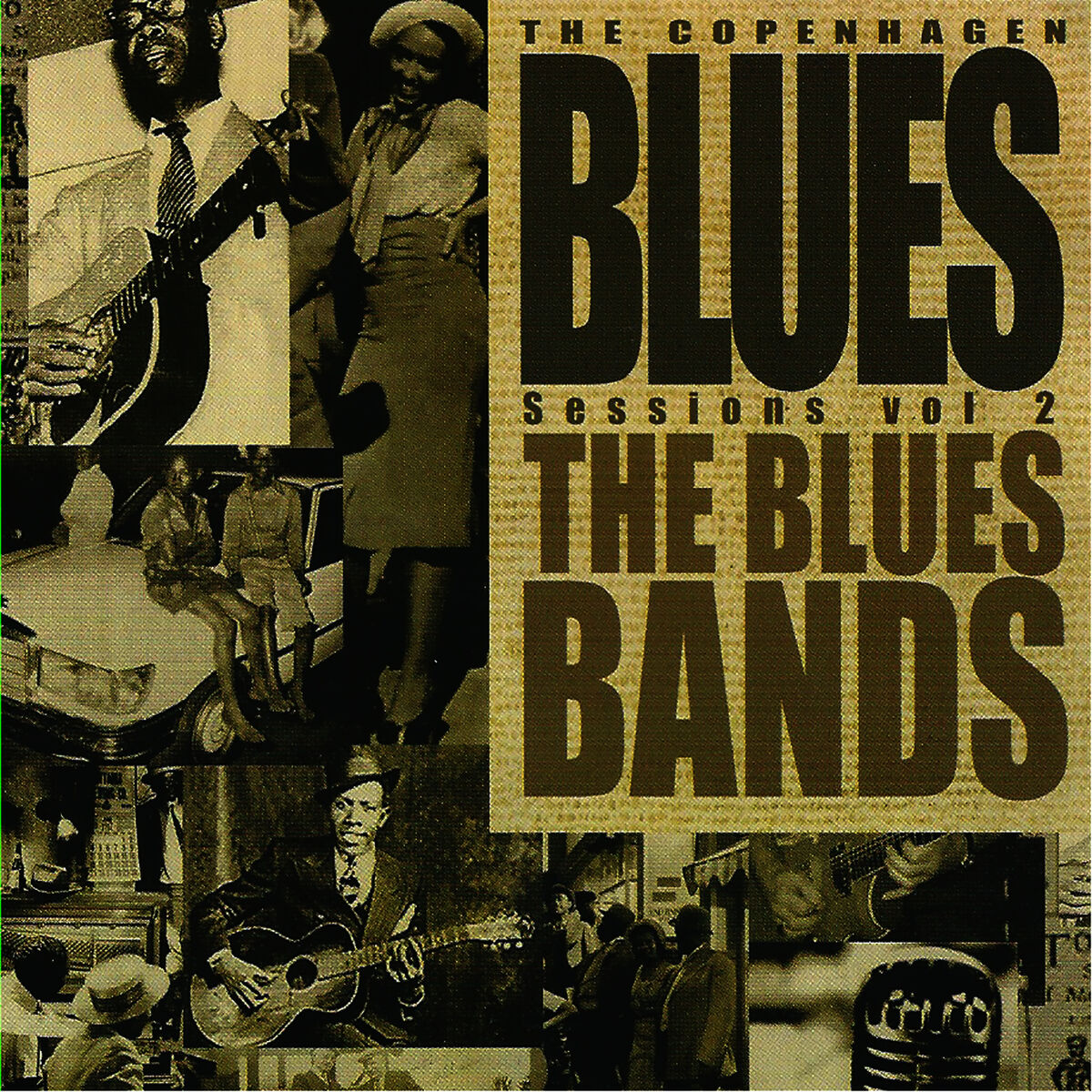 Album cover of Copenhagen Blues Sessions, Vol. 2 (Live)