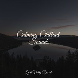 Cover of Calming Chillout Sounds