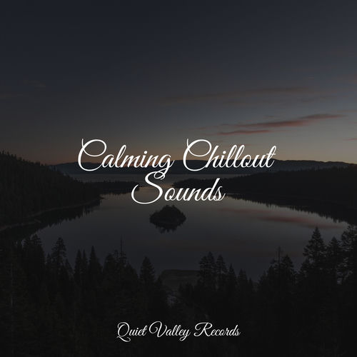 Calming Chillout Sounds