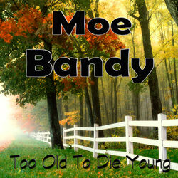 Cover of Too Old to Die Young